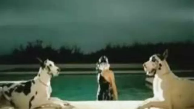 Scratched-არა ქალის კოლგოტები, რეტრო შუა