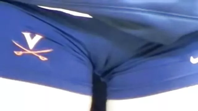 მოყვარული,, ტეენ, ვინტაჟი რასებს შორის კრემიანი ტორტი